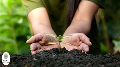 Philippine nature’s wealth: Preserve and conserve .
